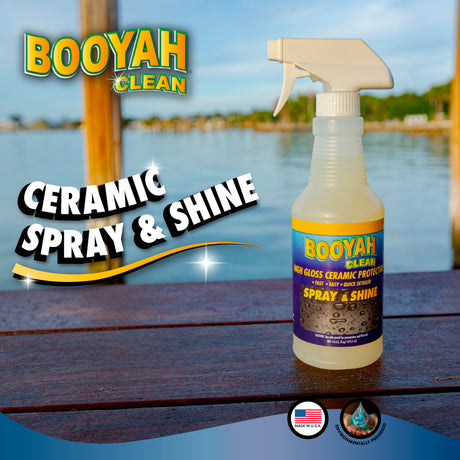 CERAMIC SPRAY & SHINE